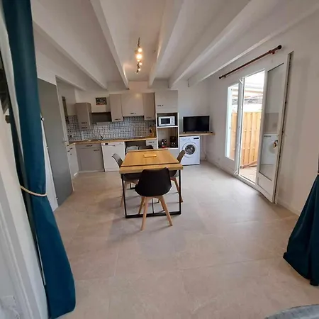 Maison Climatisee Entre Etang Et Mer, Bien Equipee Avec Terrasse Et Jardin - Fr-1-326-825 Marseillan (Herault)